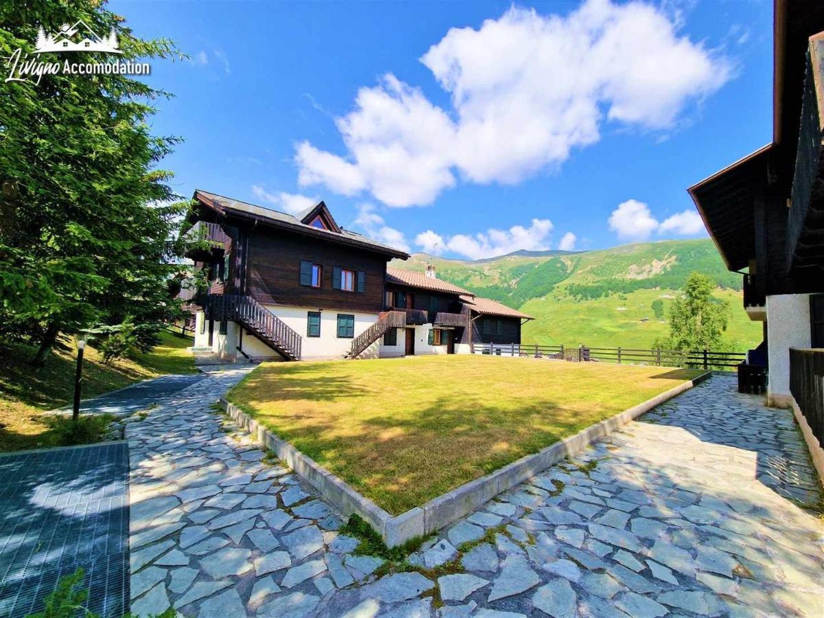 Chalet Rododendro Forest By Livigno Accomodation Dış mekan fotoğraf